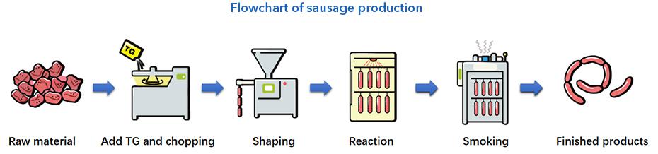 Phương pháp chuyển hóa B óng Chuẩn TG-B Sausage
